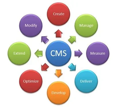 Web Developers Web Design Custom Content Management Software Available at Wholesale Price From Indian Exporter