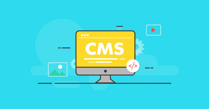 Web Developers Web Design Custom Content Management Software Available at Wholesale Price From Indian Exporter