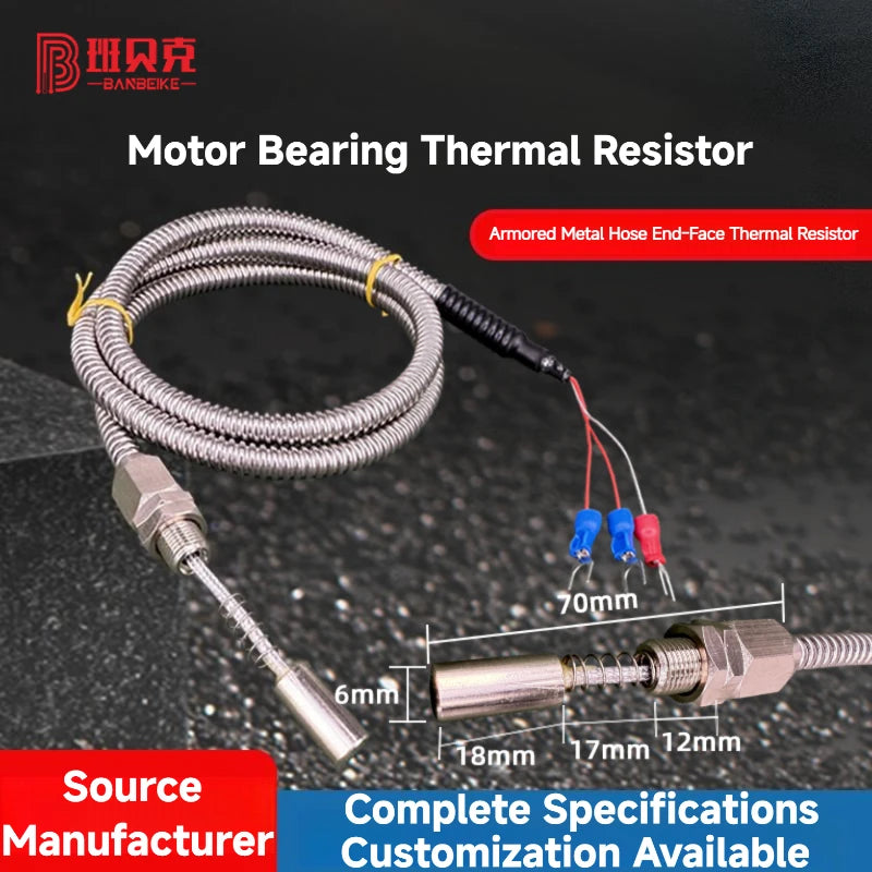 PT100 Rugged Metal Hose Motor Bearing Thermal Resistor Resists Pulling and Bending RTD Temperature Sensor