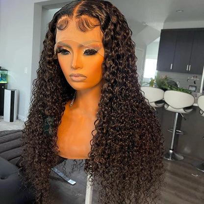 10A Raw Indian Hair Lace Frontal Human Hair Wigs,Glueless Full HD Lace Wigs Human Hair Lace Front,Body Wave Wigs for Black Women