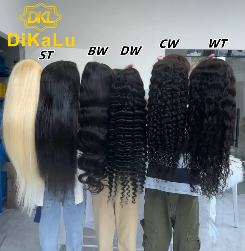 Brazilian for Wigs 100% Virgin Human Hair 13x4 Transparent French Lace Long Wigs for Black Women