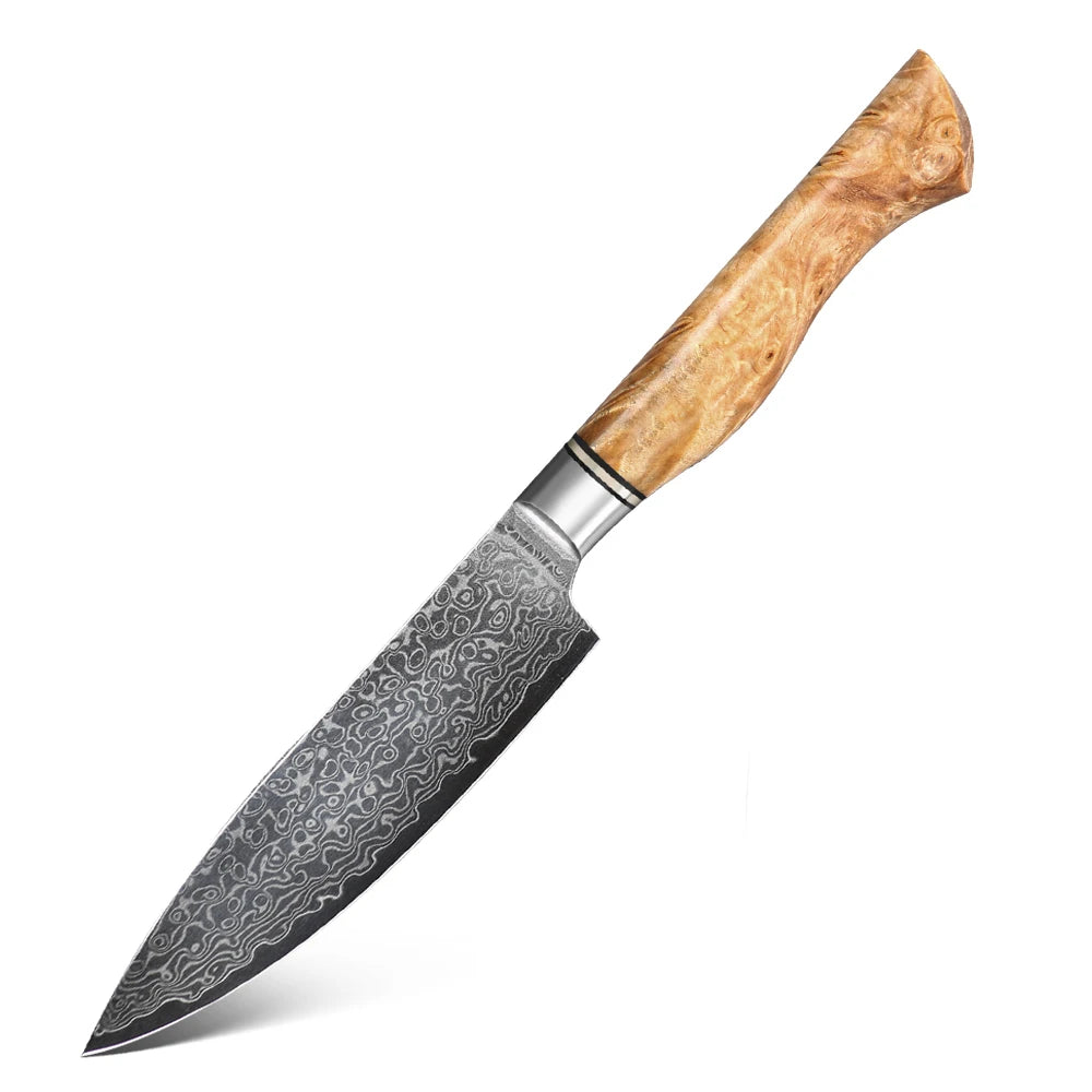 1/5PCS Knife Sets 67 Layer Damascus Super Steel Bread Paring utility Chef Santoku Cake Cook Super Sharp Kitchen Knife