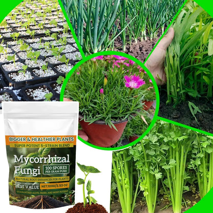 Plant root nutrient powder Root Enhancer Promote Plant Growth Nutrient Fertilizer Safe and Effective Supplement for Soil Culture