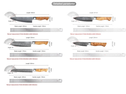 1/5PCS Knife Sets 67 Layer Damascus Super Steel Bread Paring utility Chef Santoku Cake Cook Super Sharp Kitchen Knife