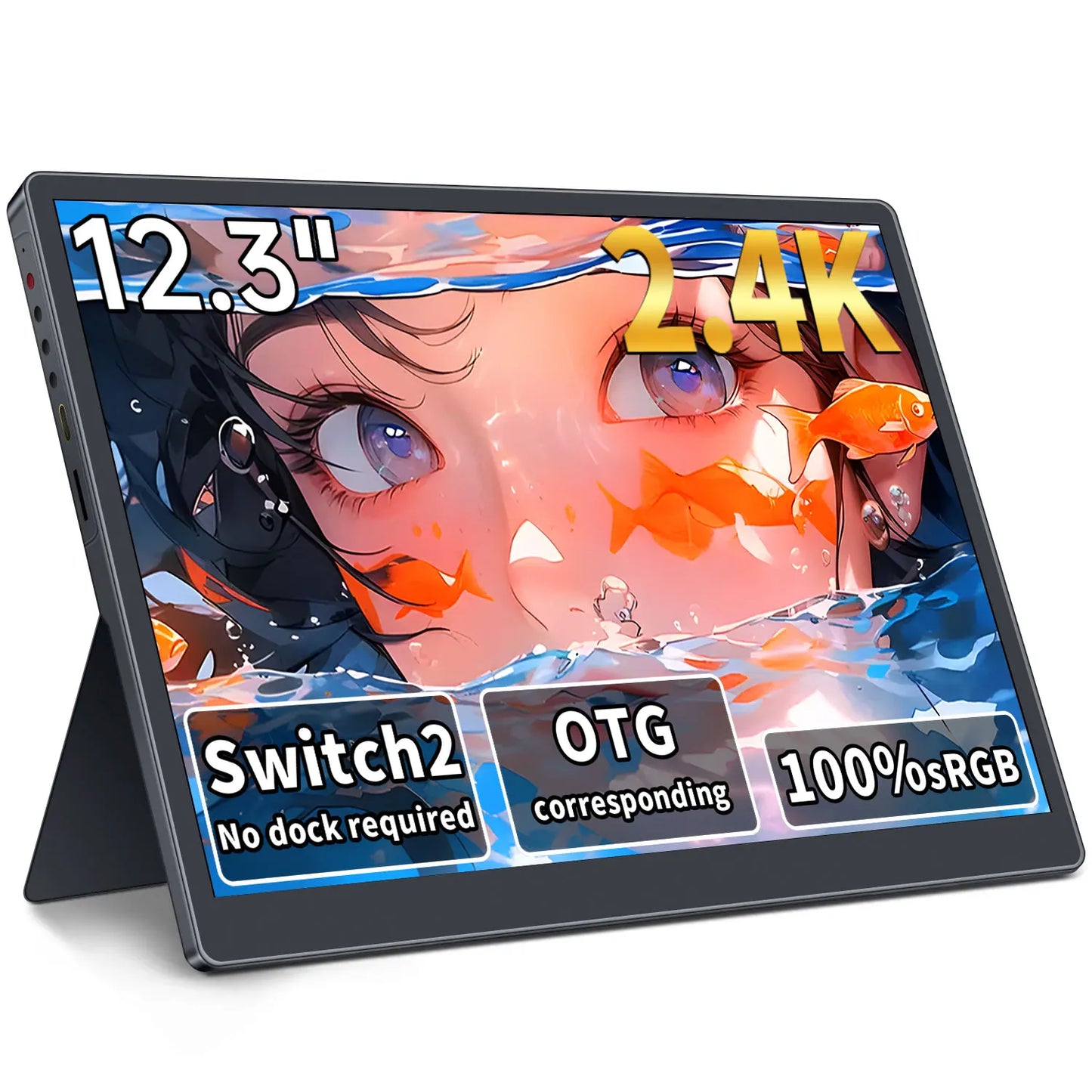 HAILESI S123 Portable monitor 12.3 inches, 2.4K,2400x1600,Switch 2 Dock Not Required,OTG Compatible, 3:2 Screen 380nit