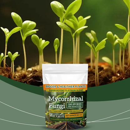 Plant root nutrient powder Root Enhancer Promote Plant Growth Nutrient Fertilizer Safe and Effective Supplement for Soil Culture
