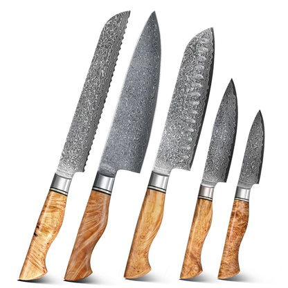 1/5PCS Knife Sets 67 Layer Damascus Super Steel Bread Paring utility Chef Santoku Cake Cook Super Sharp Kitchen Knife