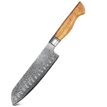 1/5PCS Knife Sets 67 Layer Damascus Super Steel Bread Paring utility Chef Santoku Cake Cook Super Sharp Kitchen Knife